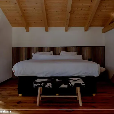 Thierse Apartamento Grindelwald